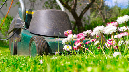 Seasons and yard maintenance concept with electric lawn mower and dainty white and pink spring flowers in a green garden lawnの写真素材