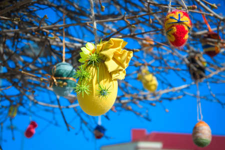 Decorating the branches of trees and bushes with colorful Easter decorationsの写真素材