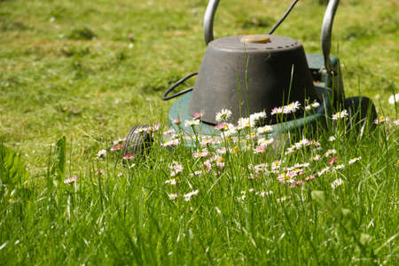 Seasons and yard maintenance concept with electric lawn mower and dainty white and pink spring...