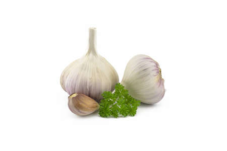 Garlic bulbs, cloves and green parsley twig in close-up isolated on white backgroundの写真素材