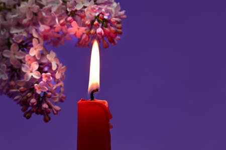Close-up of a burning red candle near a twig of flowering lilac against a violet background, candle light in front of violet background with free copy spaceの写真素材