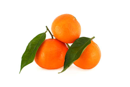 Tangerines, clementines or mandarin orange fruits with green leaves isolated on white backgroundの写真素材