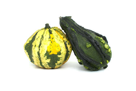 Decorative green warty pumpkins isolated on white backgroundの写真素材