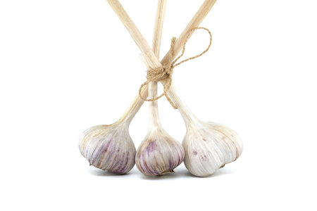 Three garlic bulbs tied with a jute rope in close-up isolated on white background