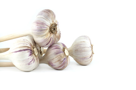 Garlic bulbs in close-up isolated on white backgroundの写真素材