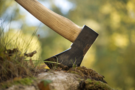 Chopper or axe standing upright in an old tree stump outdoors against a blurred woodland backgroundの写真素材