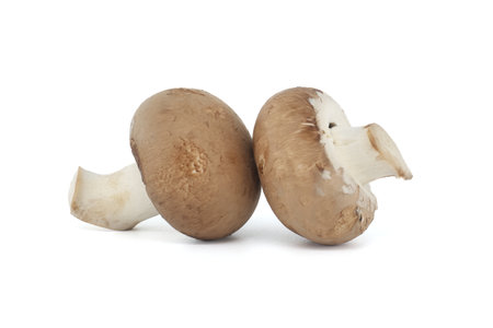 Fresh Baby Bella or Cremini whole mushrooms isolated on white backgroundの写真素材