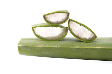 A cut Aloe Vera leaf slices isolated on white backgroundの写真素材