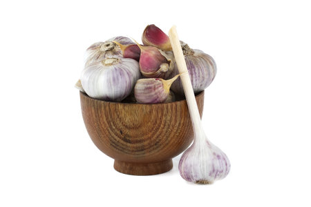 Freshly harvested garlic bulbs in wooden bowl isolated on white backgroundの写真素材