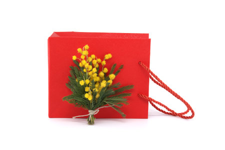 Bouquet of yellow mimosa flowers near red gift bag isolated on white background, Easter, 8 March women's day conceptの写真素材