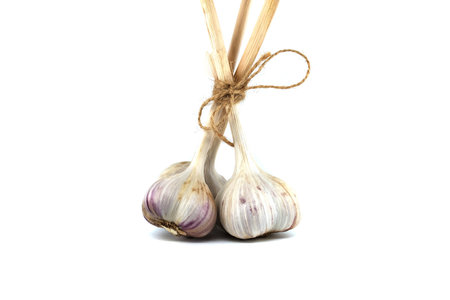 Three garlic bulbs tied with a jute rope in close-up isolated on white backgroundの写真素材