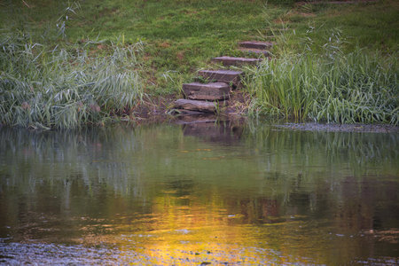 Tranquility and peaceful scene of nature with a yellow and green hue and reflection in the water of the surrounding plants and trees and the skyの写真素材