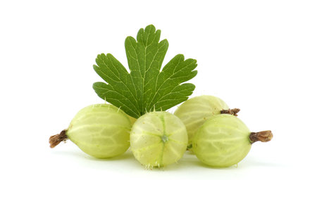 Gooseberry isolated on white background. Heap of fresh ripe gooseberriesの写真素材