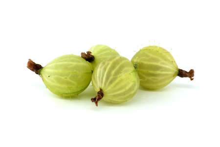 Gooseberry isolated on white background. Heap of fresh ripe gooseberriesの写真素材
