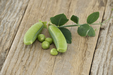 Fresh green peas, pea pods with green leaves and open pea pod on a wooden surface, vegan nutrition mealの写真素材