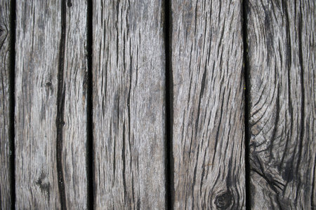 Highly detailed close-up image of a wood plank , clear contrast between the lighter and darker areas of the woodの写真素材