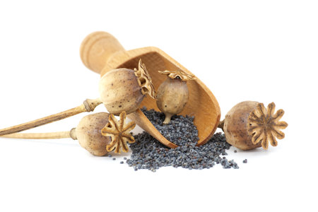 Poppy seed pods and seeds in wooden scoop on white isolated on white background, full depth of fieldの写真素材