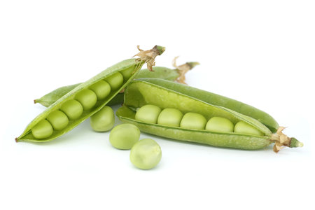 Close-up of a pea pod and a few peas isolated on a white background. Pea pod is open and reveals several small, round green peas insideの写真素材