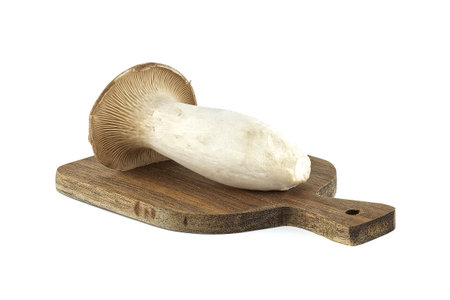 Pleurotus eryngii mushroom isolated on white background, also known as king trumpet mushroom, French horn mushroom, eryngi, king oyster mushroom, king brown mushroomの写真素材