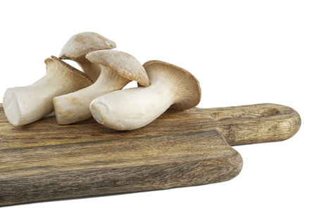 Pleurotus eryngii mushroom isolated on white background, also known as king trumpet mushroom, French horn mushroom, eryngi, king oyster mushroom, king brown mushroomの写真素材