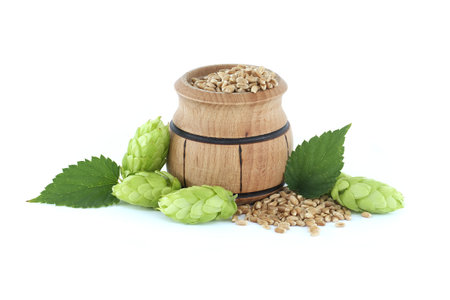 Rustic homely scene featuring a wooden bucket filled with grains and hops, beer brewing ingredientsの写真素材