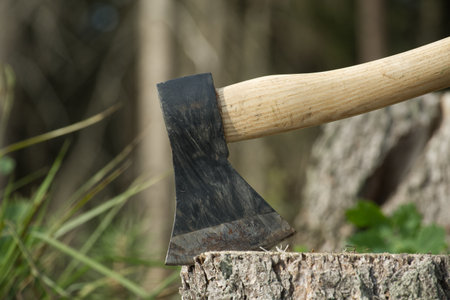An ax or hatchet stuck in a tree stump in the background of a felled forest. Nature protection, deforestation or forest clearanceの写真素材