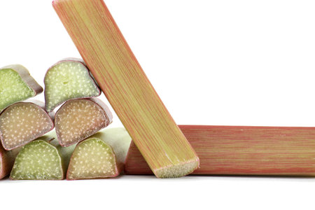 Variety of rhubarb stalks of varying colors from pale green to deep red isolated on white background, health benefits of eating rhubarbの写真素材