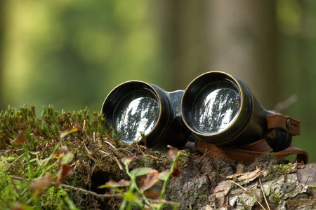 Retro binoculars resting on a tree log, lenses reflecting the surrounding trees, backdrop filled with forest setting, sense of exploration or observationの写真素材