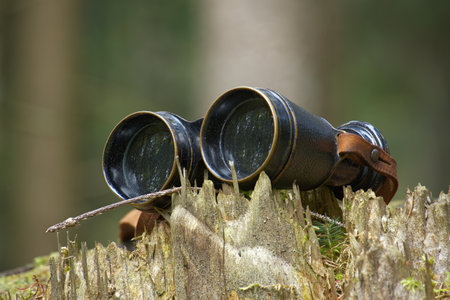 Binoculars resting on a tree stump depicted in a context of exploration or bird-watching, background presents a natural landscape, with grass evidentの写真素材