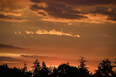 The sky, filled with clouds, is beautifully painted with hues of orange, reflecting the setting sun, trees located at the bottom of the image provide contrasting silhouette against the fiery skyの写真素材