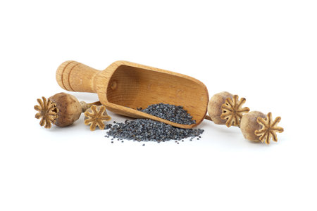 Wooden scoop with poppy seeds near dry seed pods isolated on white background, full depth of fieldの写真素材