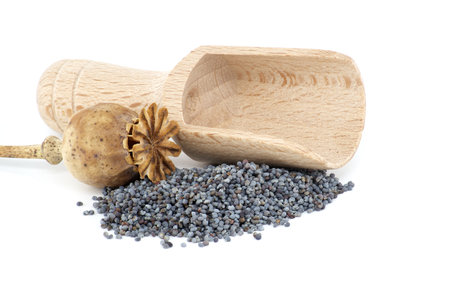 Poppy seed pods and seeds in wooden scoop on white isolated on white background, full depth of fieldの写真素材