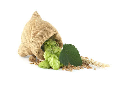 Bag full of hops and wheat isolated on white background, important ingredients in food and beverage production, particularly in brewing beerの写真素材