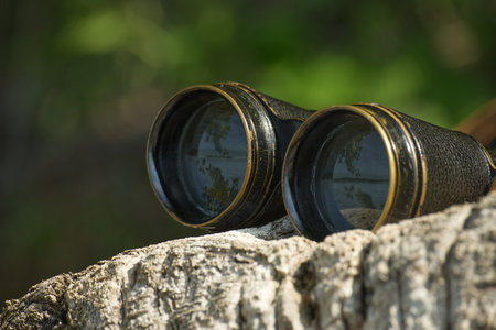 Retro binoculars resting on a weathered tree log, lenses reflecting the surrounding trees, backdrop filled with forest setting, sense of exploration or observationの写真素材