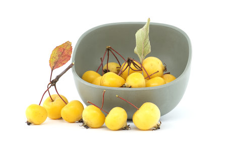 Crab apple or European wild apple isolated on white background. Wild apples are at risk of extinctionの写真素材