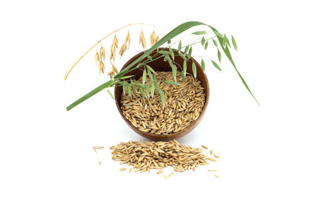 Organic whole oat grain seeds with hulls or husks isolated on a white background. Agriculture, diet and nutrition. Common oat or Avena sativaの写真素材
