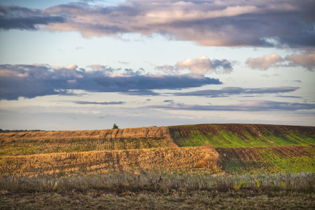 Picturesque outdoor scene in a rural area, field dotted with a few tracks suggestive of agricultural...