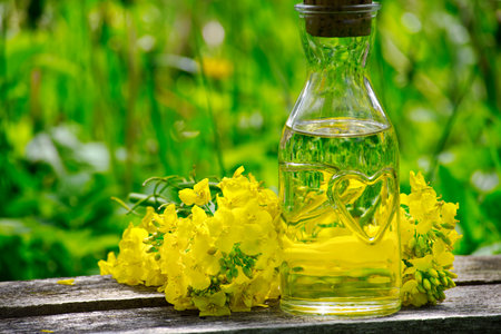 Yellow canola or rapeseed flowers with a small glass decanter of oil on a rustic tableの写真素材