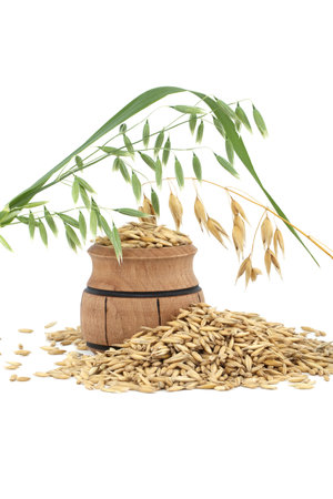 Organic whole oat grain seeds with hulls or husks isolated on a white background. Agriculture, diet and nutritionの写真素材