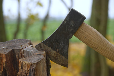 Axe with a brown wooden handle and a black head lodged into a piece of wood or tree stump in a...