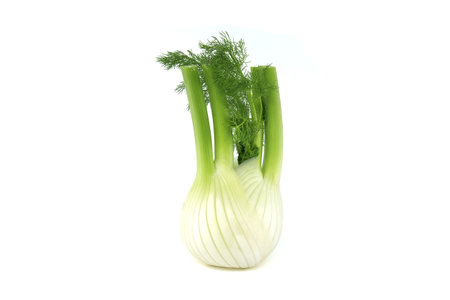 Whole fennel bulb predominantly light yellow, with contrasting shades of green on the stalks and feathery leaves isolated on white backgroundの写真素材
