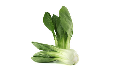 Pak choi, also known as bok choi or pok choi type of Chinese cabbage isolated on white backgroundの写真素材