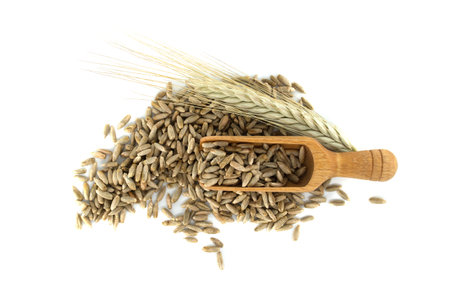 Closeup of a wooden scooper filled with rye grains, positioned next to rye ears isolated on a white...