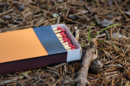 Close-up image of a matchbox on a forest floor, highlighting outdoor survival and camping...
