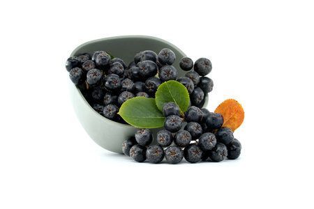 Close-up of fresh aronia melanocarpa berries spilling from a gray bowl with green and orange leaves isolated on white backgroundの写真素材