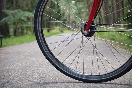 Close-up of a red bicycle wheel on a tranquil forest path, ideal for outdoor adventure and...
