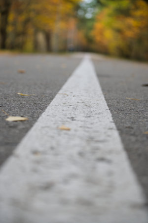 Low-angle view of a quiet country road with a distinct white line, surrounded by autumn foliage in a...