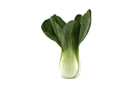 Fresh bok choy placed on a white background. The green leaves and crisp stems highlight freshness and health benefits, perfect for Asian cuisine and healthy lifestyle themesの写真素材
