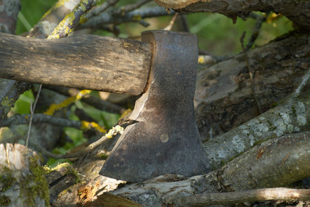 Close-up view of an aged, rusted axe embedded in a tree trunk, symbolizing the activities of...