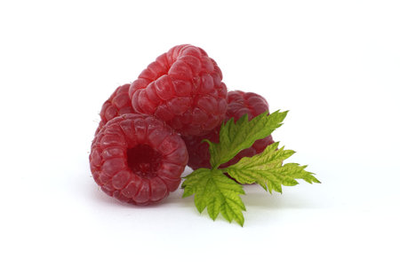 Juicy red raspberries with vibrant green leaves beautifully arranged and highlighted on pure white...